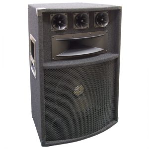 600 Watt 12'' Five-Way PA Speaker Cabinet (PADH1289)