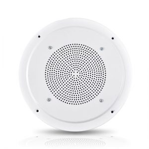 6.5" Full Range In-Ceiling Speaker System W/Transformer (PDICS64)