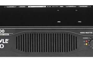 Professional 4000 Watts Stereo Power Amplifier (PEA4000)