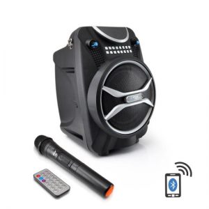 Boom Rock Bluetooth Karaoke Speaker and Recording System, Built-in Rechargeable Battery, Wireless Microphone, USB/SD Card Readers, FM Radio and Remote Control (Black) (PWMAB210BK)