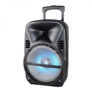 Maxpower 12" Woofer with Moon light USB/SD/BT/Mic 4000W Max MPD125L